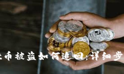 TPWallet币被盗如何追回：详细步骤与建议