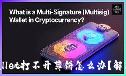   
bianotitpWallet打不开薄饼怎么办？解决方法与技巧
