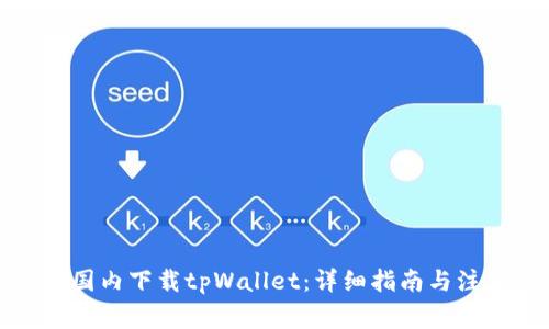 如何在国内下载tpWallet：详细指南与注意事项