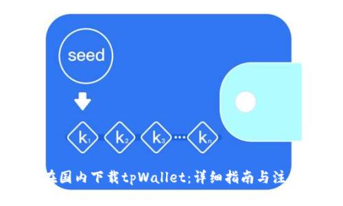 如何在国内下载tpWallet：详细指南与注意事项