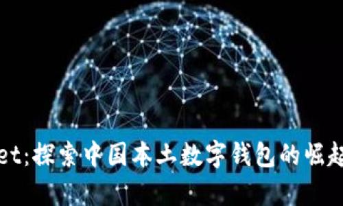 tpWallet：探索中国本土数字钱包的崛起与未来