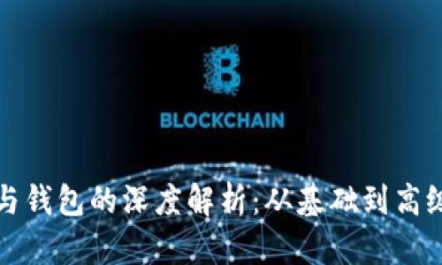 区块链账户与钱包的深度解析：从基础到高级的区别透视
