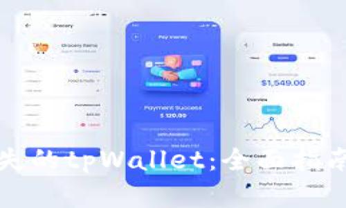 如何找回消失的tpWallet：全面指南与解决方案