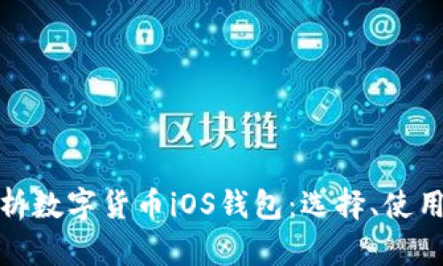 全面解析数字货币iOS钱包：选择、使用与安全