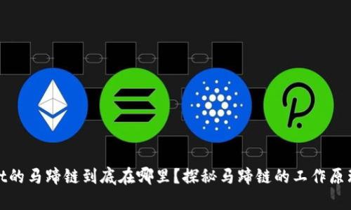 tpWallet的马蹄链到底在哪里？探秘马蹄链的工作原理与优势