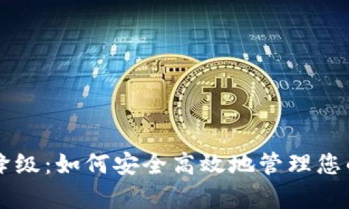 tpWallet降级：如何安全高效地管理您的数字资产