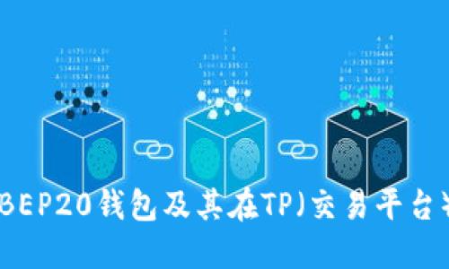 全面了解BEP20钱包及其在TP（交易平台）中的应用