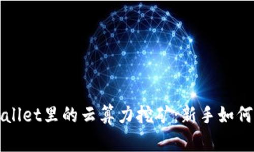 揭秘tpWallet里的云算力挖矿：新手如何轻松入门