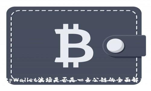tpWallet波场是否是一条公链的全面解析