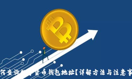   
如何查询数字货币钱包地址？详解方法与注意事项