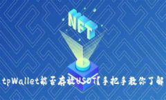 tpWallet能否存放USDT？手把