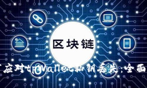 如何应对tpWallet私钥丢失：全面指南
