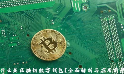 
什么是区块链数字钱包？全面解析与应用前景