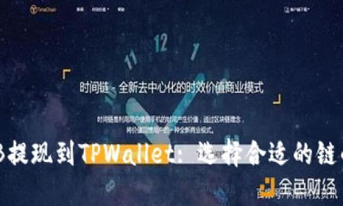 如何将BNB提现到TPWallet: 选择合适的链的全面指南