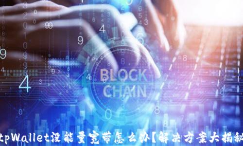 
tpWallet没能量宽带怎么办？解决方案大揭秘