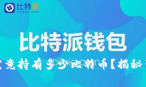 : 中本聪究竟持有多少比特币？揭秘背后的故事
