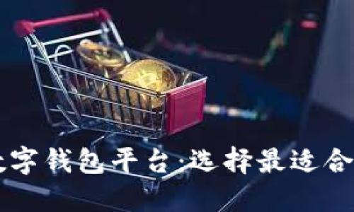 国内认可的数字钱包平台：选择最适合你的支付方式