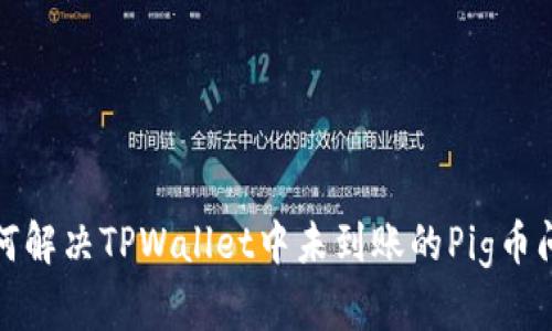 如何解决TPWallet中未到账的Pig币问题