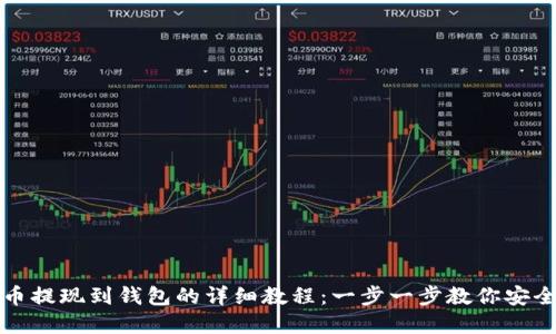 虚拟币提现到钱包的详细教程：一步一步教你安全转账