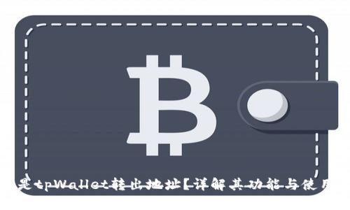 什么是tpWallet转出地址？详解其功能与使用方法