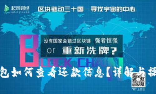 数字钱包如何查看还款信息？详解与操作指南