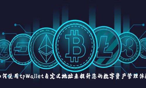如何使用tpWallet自定义地址来提升您的数字资产管理体验