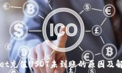   tpWallet充值USDT未到账的原