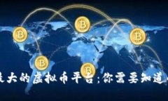 中国最大的虚拟币平台：