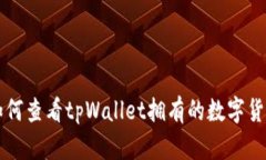 如何查看tpWallet拥有的数字