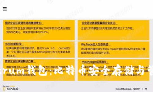 全面解析Electrum钱包：比特币安全存储与管理的优选方案
