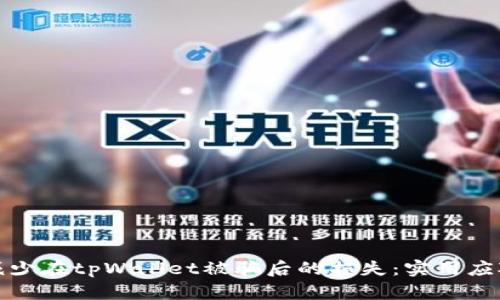如何减少在tpWallet被骗后的损失：实用应对策略