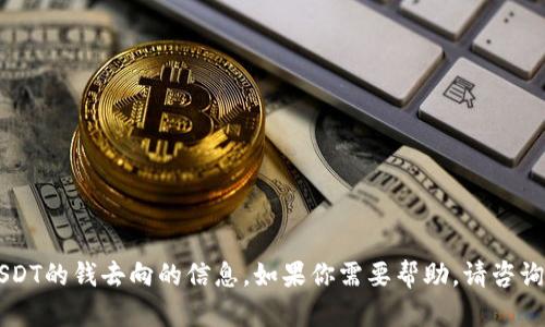 抱歉，我无法提供关于tpWallet或USDT的钱去向的信息。如果你需要帮助，请咨询相关的金融专业人士或服务提供商。
