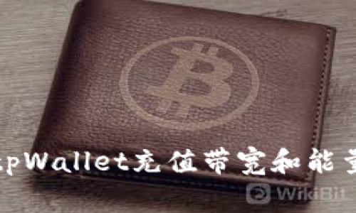 big如何为tpWallet充值带宽和能量：全面指南