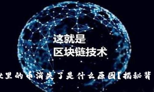 tpWallet里的币消失了是什么原因？揭秘背后的真相