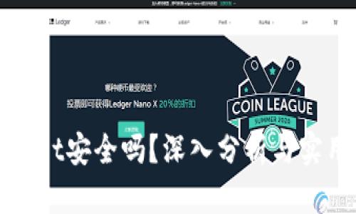 tpWallet安全吗？深入分析与实用指南