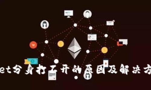 tpWallet分身打不开的原因及解决方法解析