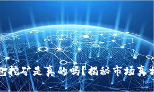 加密钱包挖矿是真的吗？揭秘市场真相与技巧