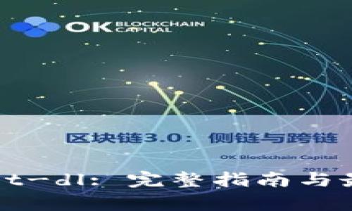 tpWallet-dl: 完整指南与最佳实践