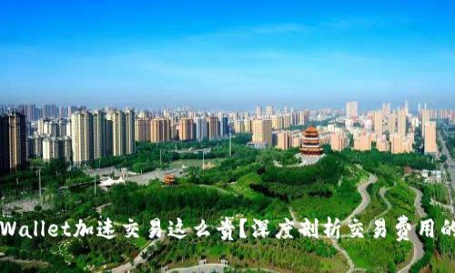 为什么tpWallet加速交易这么贵？深度剖析交易费用的背后真相