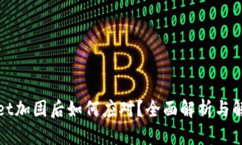 tpWallet加固后如何应对？全面解析与解决方案