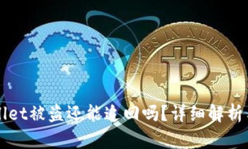 tpWallet被盗还能追回吗？详细解析与对策