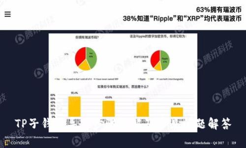 TP子钱包导入步骤详解及常见问题解答