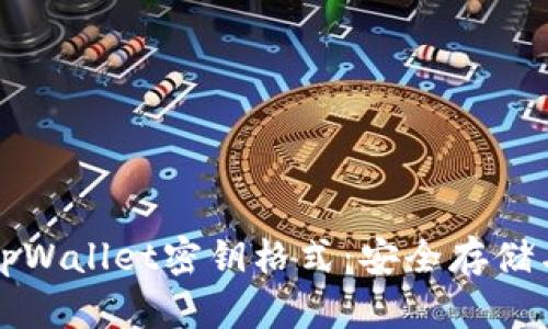深入了解tpWallet密钥格式：安全存储与管理指南