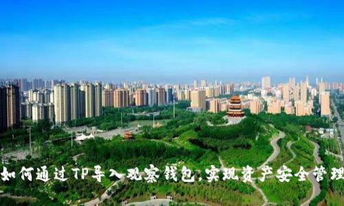 如何通过TP导入观察钱包，实现资产安全管理
