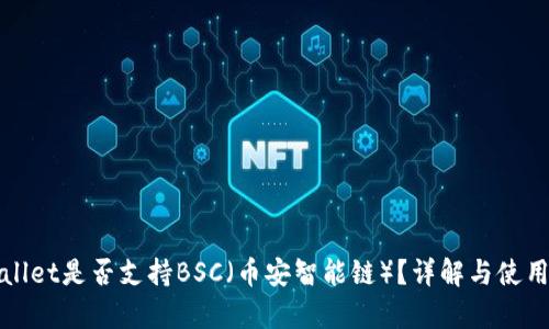 tpWallet是否支持BSC（币安智能链）？详解与使用指南