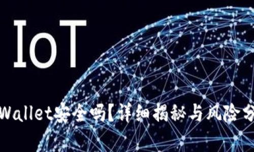 tpWallet安全吗？详细揭秘与风险分析