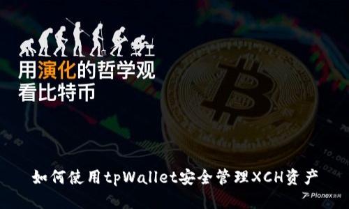 如何使用tpWallet安全管理XCH资产