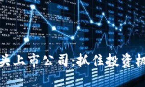 区块链龙头上市公司：抓住投资机遇的关键