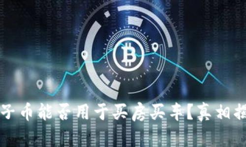 原子币能否用于买房买车？真相揭秘