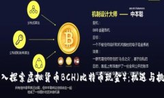 深入探索虚拟货币BCH（比